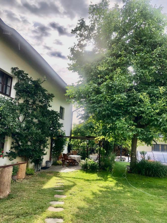 Pokoje V Chalupe Pod Milesovkou Velemin Exteriör bild